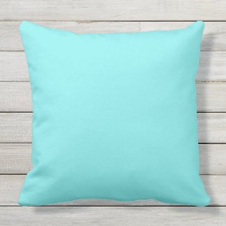 Turquoise Light Outdoor Throw Pillow 20x20