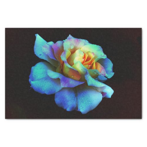 Turquoise N Gold Rainbow Rose  Tissue Paper