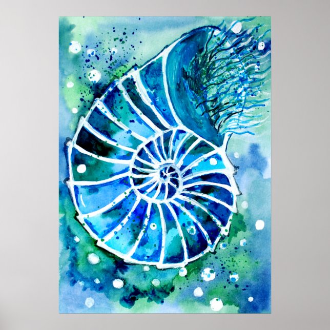 Turquoise Nautilus Poster (Front)