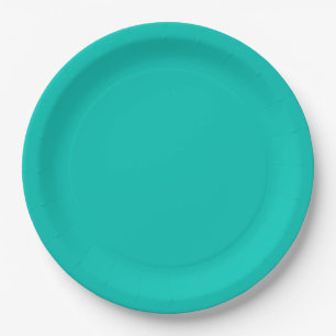 Turquoise Paper Plate