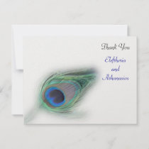 turquoise peacock Thank You Card