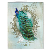 Turquoise Shabby Peacock (Front)