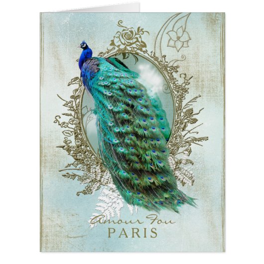 Turquoise Shabby Peacock Cards (Front)