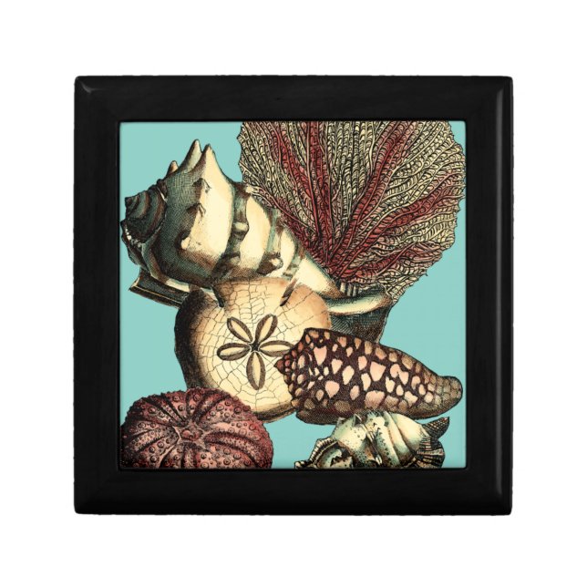 Turquoise Shell and Red Coral Collection Jewelry Box (Front)
