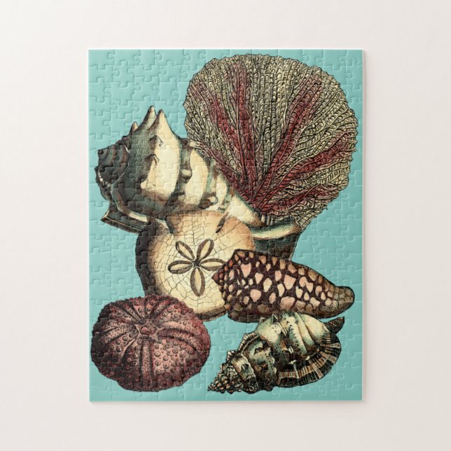 Turquoise Shell and Red Coral Collection Jigsaw Puzzle (Vertical)