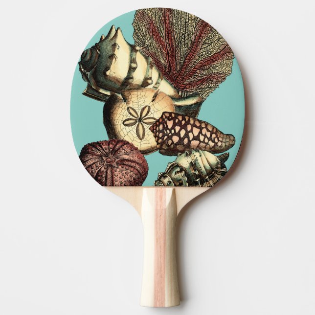 Turquoise Shell and Red Coral Collection Ping-Pong Paddle (Front)