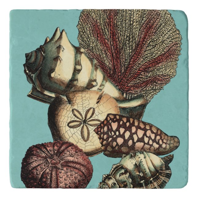 Turquoise Shell and Red Coral Collection Trivet (Front)