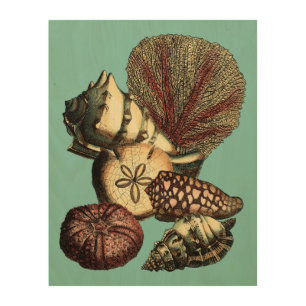 Turquoise Shell and Red Coral Collection Wood Wall Art