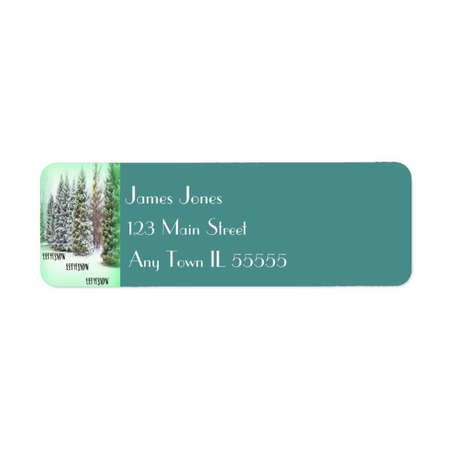 Turquoise Snowflake Label (Front)