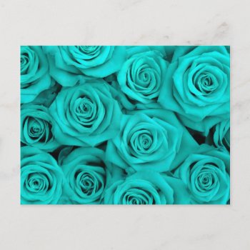 Turquoise Spectacular Roses Postcard by Custom_Patterns at Zazzle