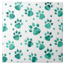 Turquoise Spotted Paws