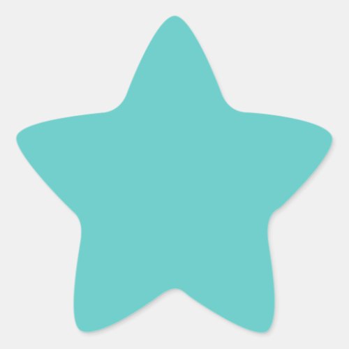 turquoise star matte sticker