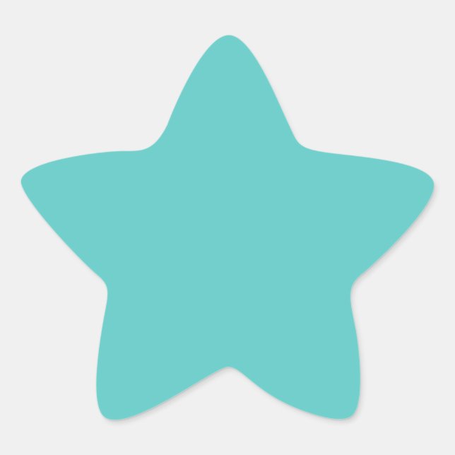 turquoise star matte sticker (Front)
