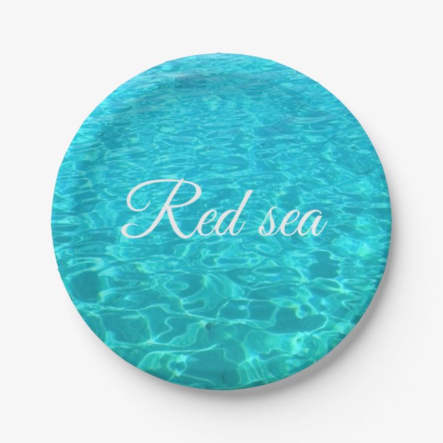 Turquoise surface of Red sea in Egypt  Paper Plates (Front)