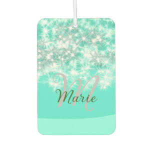 Turquoise teal agate aqua monogram add letter text air freshener