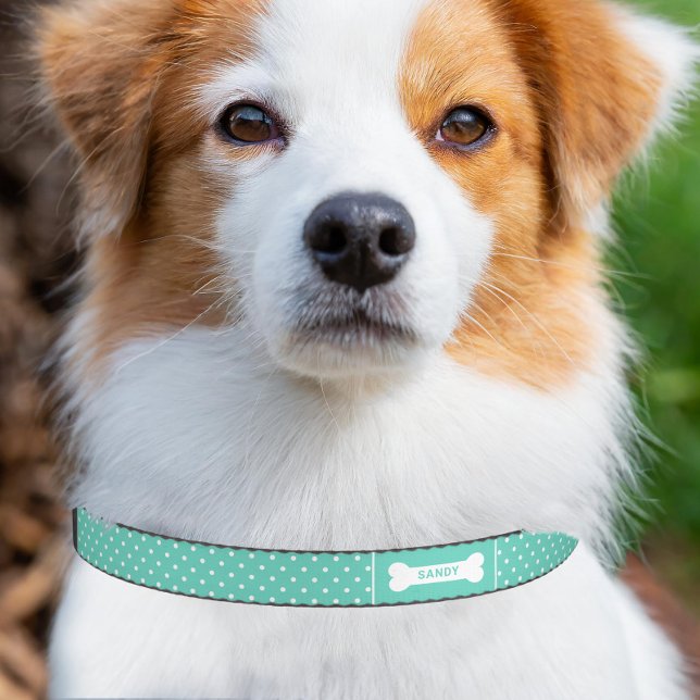 Turquoise Teal And White Polka Dots Pattern Pet Collar
