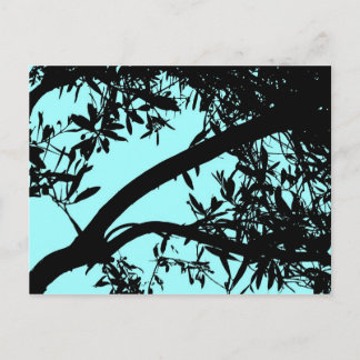 Turquoise Tree Postcard