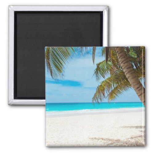Turquoise Tropical Beach Magnet