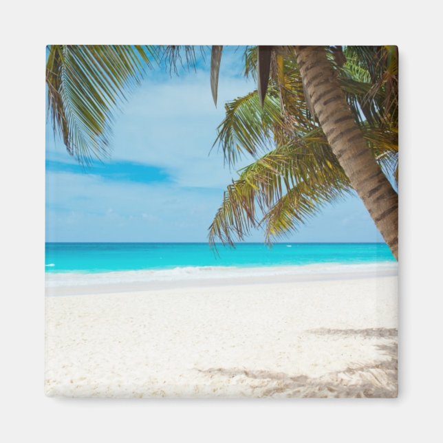 Turquoise Tropical Beach Magnet (Front)