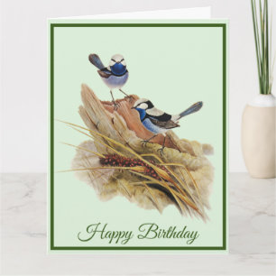 Turquoisine Superb Warbler  Card