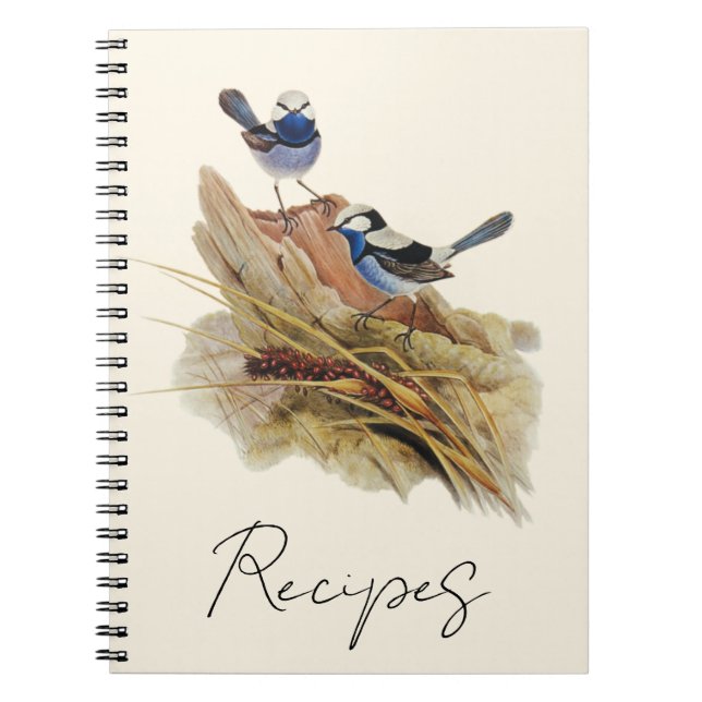 Turquoisine Superb Warbler,  Notebook (Front)