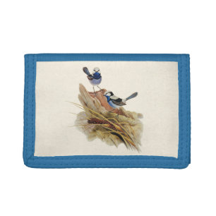 Turquoisine Superb Warbler, Women Tri-fold Wallet