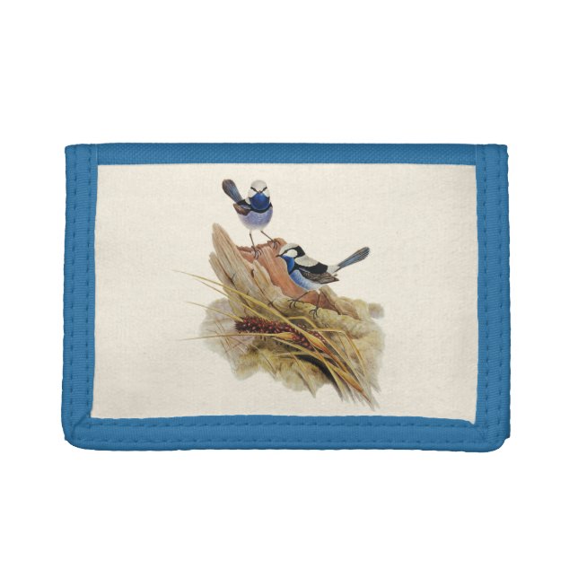 Turquoisine Superb Warbler, Women  Trifold Wallet (Front)