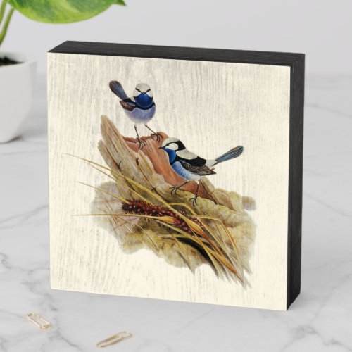 Turquoisine Superb Warbler Wooden Box Sign
