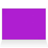 Turtle (Inside Horizontal (Top))