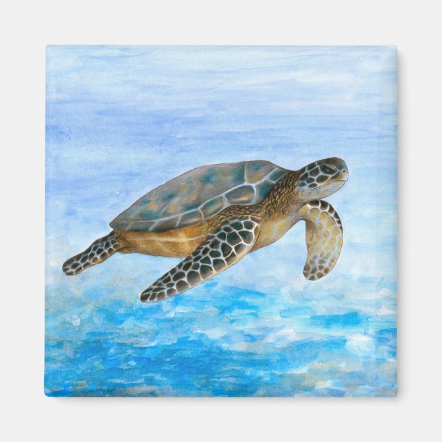 Turtle 1 magnet (Front)
