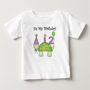 Turtle 2nd Birthday Baby T-Shirt