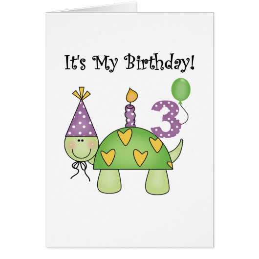 Turtle 3rd Birthday Tshirts and Gifts (Front)