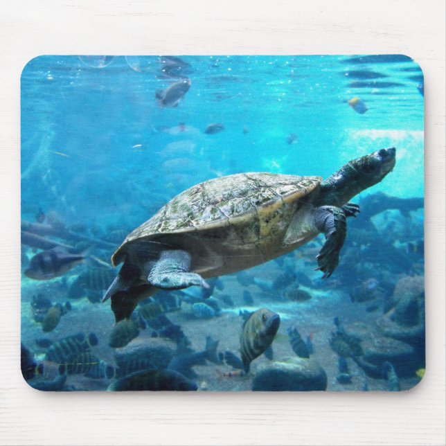 Turtle and fish mouse pad (Front)
