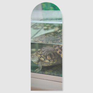 Turtle Aquarium Custom Photo Bookmark