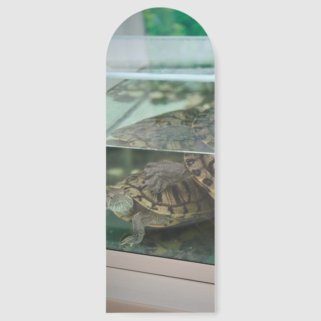 Turtle Aquarium Custom Photo Bookmark (Front)