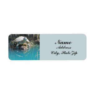 Turtle Basking Sun Photo Water Reflection Animal Label