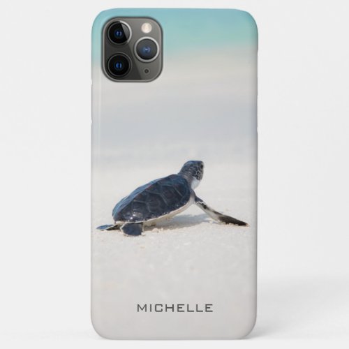 Turtle Beach Journey Personalized Name  Nature iPhone 11 Pro Max Case