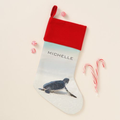 Turtle Beach Journey Personalized Name  Nature Christmas Stocking