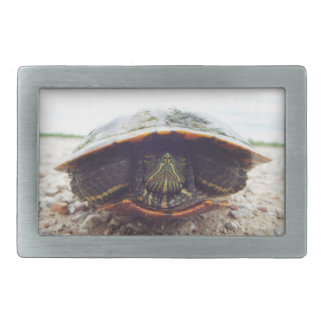 turtle belt buckle