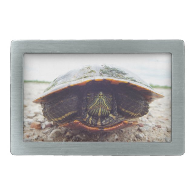 turtle belt buckle (Front)