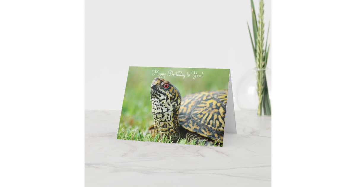 Turtle Birthday Card | Zazzle