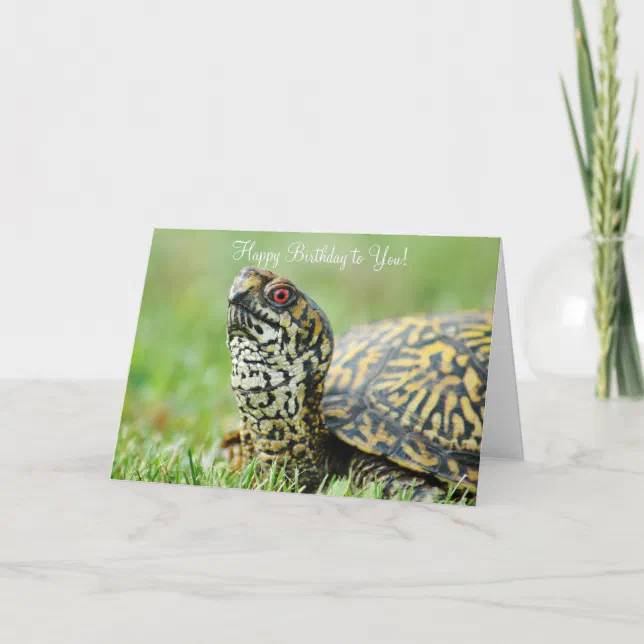 Turtle Birthday Card | Zazzle