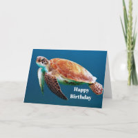 Turtle Blue Water Sea Photo Birthday