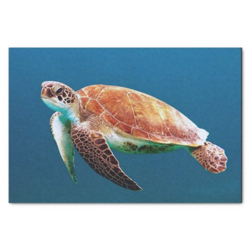 Turtle Blue Water Sea Photo Tissue Paper
