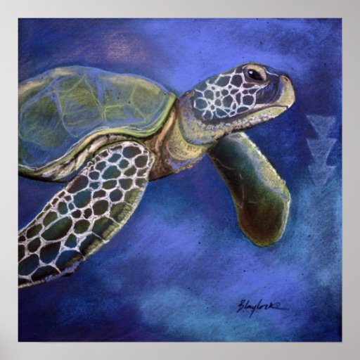 Turtle Blues Poster | Zazzle