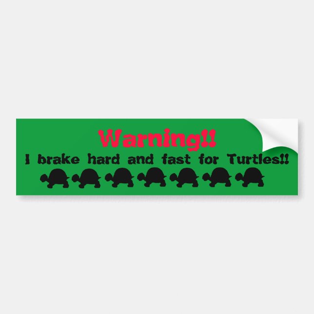 Turtle bumper sticker (Front)