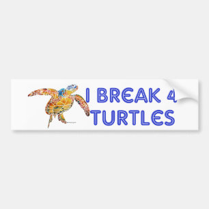 Turtle Bumper Sticker