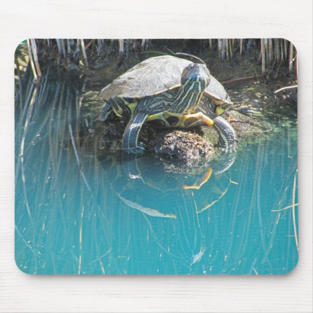 Turtle by Water with Reflection Photo Lake Animal Mouse Pad (Front)