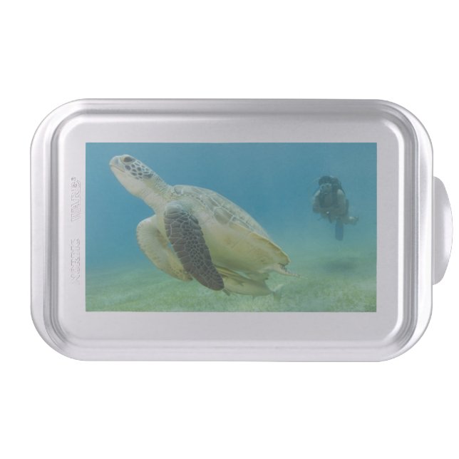 Turtle Cake Pan (Front)