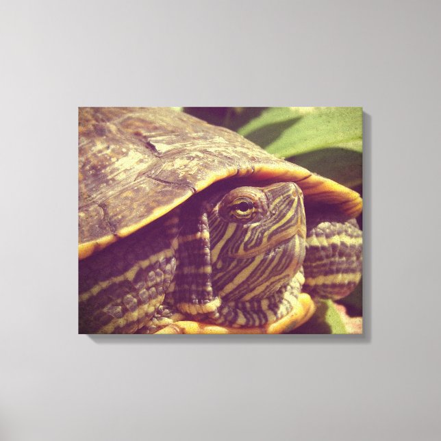 Turtle Canvas Print (Front)